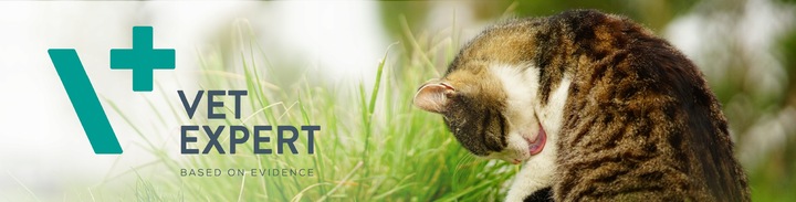 Pasta odkłaczająca dla kotów preparat odkłaczanie Vet Expert Trichocat 120g