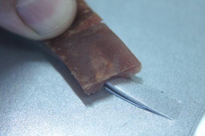 żywołapka pułapka na szczury gryzonie szczurołapka