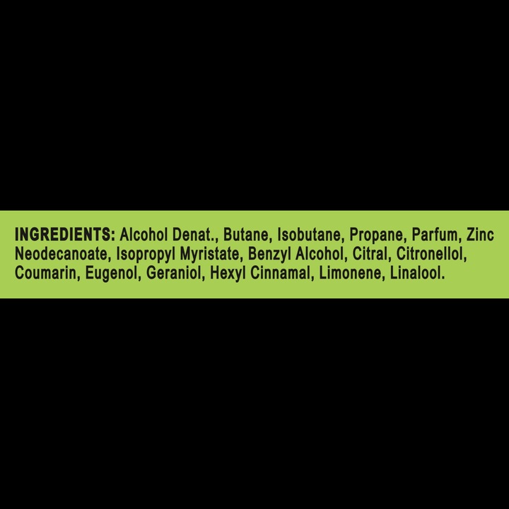 AXE Epic Fresh Body Spray dezodorant 150 ml DEO