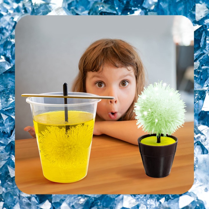 HODOWLA KRYSZTAŁÓW KRYSZTAŁY Eksperyment Edukacyjny 6 Drzewek Zestaw XXL