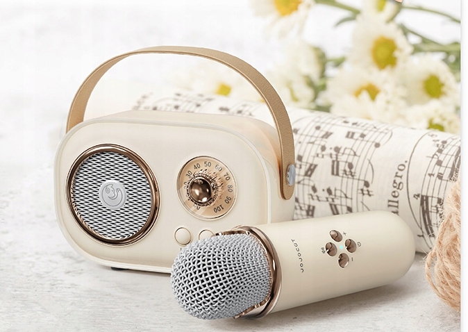 MIKROFON BEZPRZEWODOWY KARAOKE GŁOŚNIK BLUETOOTH RETRO DLA DZIECI PREZENT