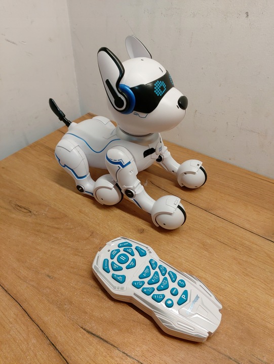 Power Puppy mój inteligentny robotyczny pies DOG01