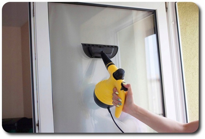 PAROWNICA na PLUSKWY Myjka Parowa Czyścik Ciśnieniowy 1050W 115 stopni