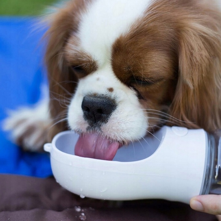 BUTELKA MISKA TURYSTYCZNA BIDON NA WODĘ POJEMNIK NA KARMĘ PRZENOŚNA POIDŁO