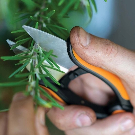 Nożyce do ziół FISKARS Solid SP220