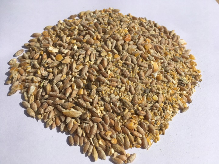 Pasza karma ziarna dla kur niosek bez GMO susz marchew pokrzywa NATURALNA