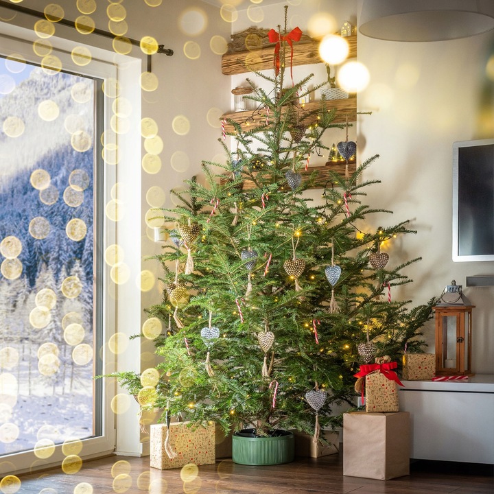 STOJAK POD CHOINKĘ CHOINKI POJEMNIK CHOINKOWY 5 L NA DRZEWKO 1,5 m ZIELONY