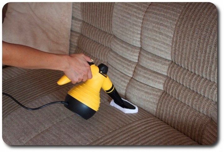 PAROWNICA na PLUSKWY Myjka Parowa Czyścik Ciśnieniowy 1050W 115 stopni