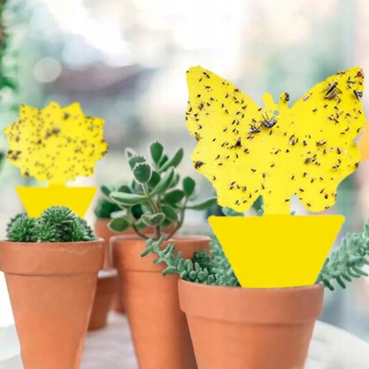 60x ŻÓŁTY LEP DO DONICZEK MOTYL na ziemiórki mszyce muszki owocówki owady