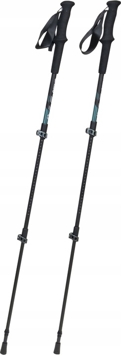 KIJE TREKKINGOWE Access Lite Carbon Rockland