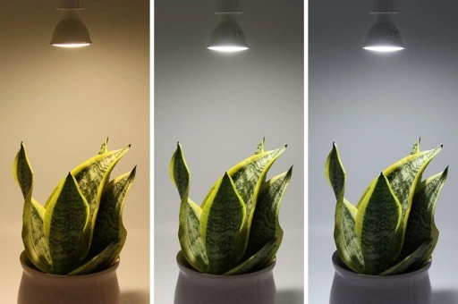 Reflektor ogrodowy wbijany szpikulec z przewodem 1m + żarówka LED GU10 5W