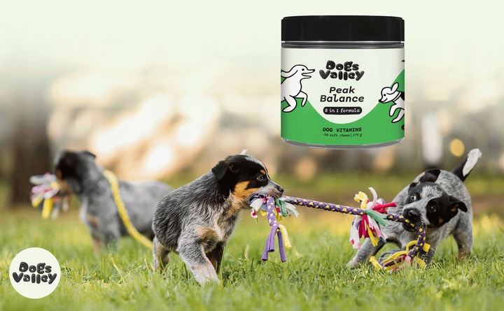 Suplementy dla psa - jelita stawy sierść skóra probiotyk - Witaminy 90szt