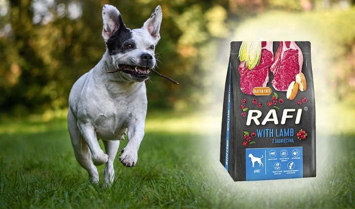 Rafi karma sucha jagnięcina 10 kg