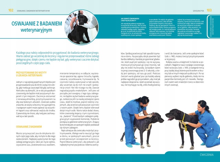 Szkolenie psa Jak tresować psa Poradnik książka + Kliker CLICKER Trening