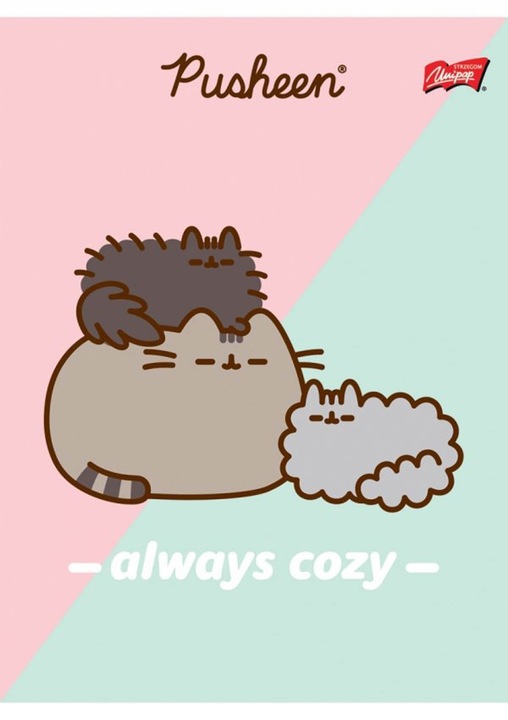 8X ZESZYT A5 32 KARTKI PUSHEEN 4x TRZY LINIA + 4x KRATKA KAŻDA OKŁADKA INNA