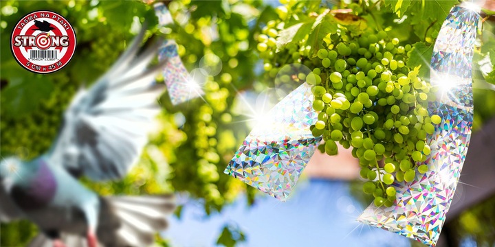 ZESTAW DO ODSTRASZANIA PTAKÓW GOŁĘBIE WRÓBLE MEWY