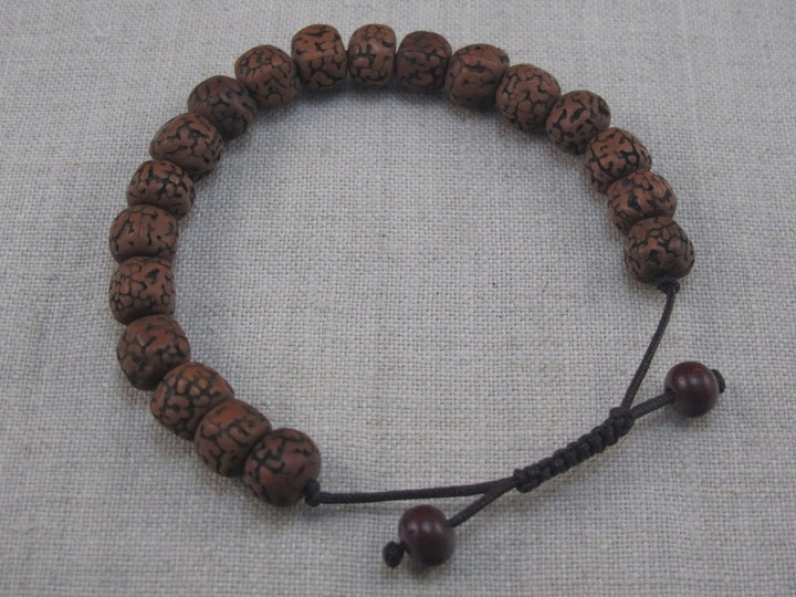 BRANSOLETA mala buddyjska RUDRAKSHA nasiona [B745]