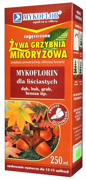 Mikoryza dla drzew liściastych