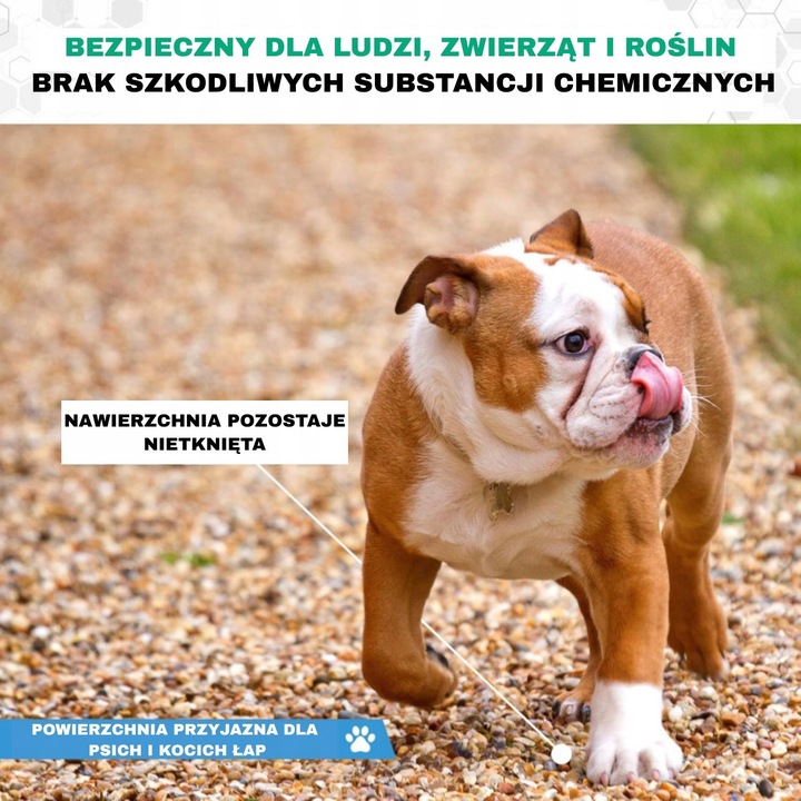 ECOHOLD 5L SPOIWO, KLEJ DO KAMIENIA ŻWIRU KORY ŚCIÓŁKI NA ŚCIEŻKI I RABATY