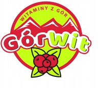 SYROP Z PĘDÓW SOSNY GÓRWIT 100% Naturalny 500 ml