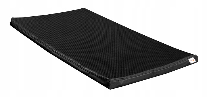 MATA DEZYNFEKCYJNA 100X60X4CM STANDARD + GRATIS!