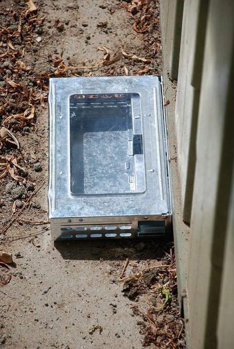 Pułapka Na Myszy Szczury Gryzonie Łapka Żywołapka Myszołapka Humanitarna