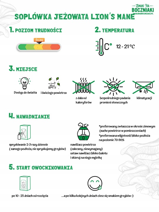 Zestaw do uprawy grzybów SNB soplówka jeżowata