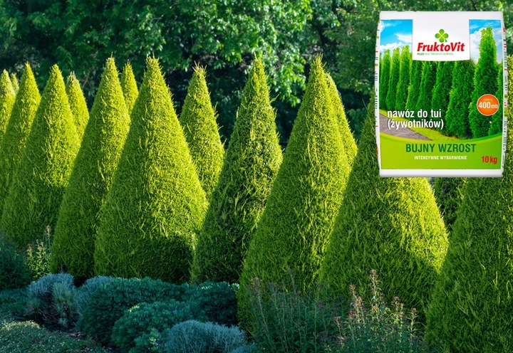 FRUKTOVIT PLUS NAWÓZ DO ŻYWOTNIKÓW TUI THUI BUJNY WZROST WYBARWIENIE 10KG