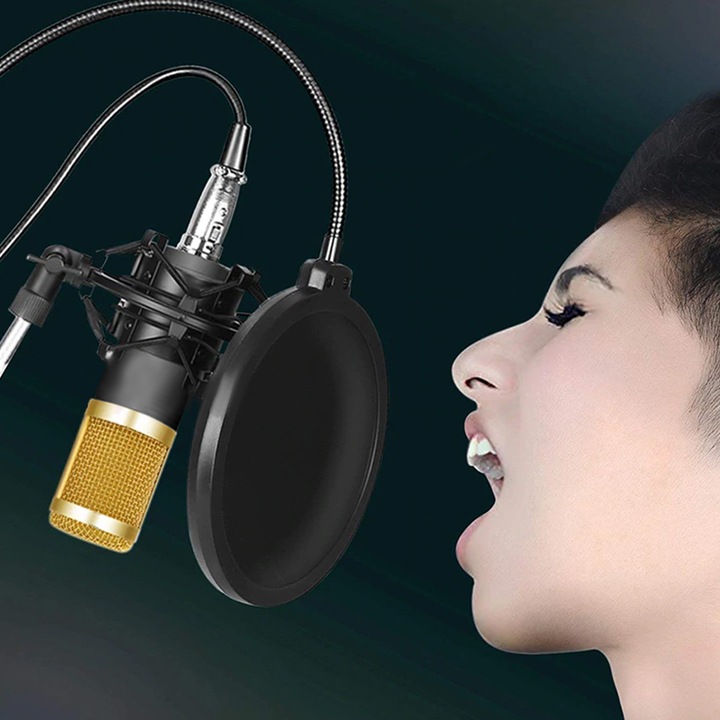 Mikrofon studyjny ze statywem i filtrem USB z mixerem Bluetooth V8X PRO