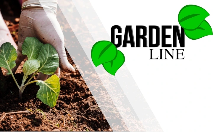 SEKATOR NOŻYCOWY NOŻYCE DO SZCZEPIEŃ OKULIZACJI DRZEW TAŚMA GRATIS