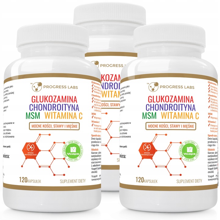 GLUKOZAMINA CHONDROITYNA MSM WITAMINA C STAWY 360k