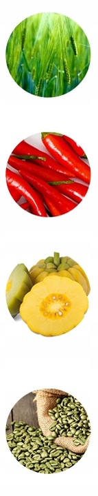 Spalacz tłuszczu Burn Booster Garcinia Cambogia PLT 60 kaps