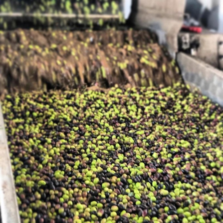 Oliwa z Oliwek Extra Virgin 1L Grecka NIEFILTROWANA Data 03/2027