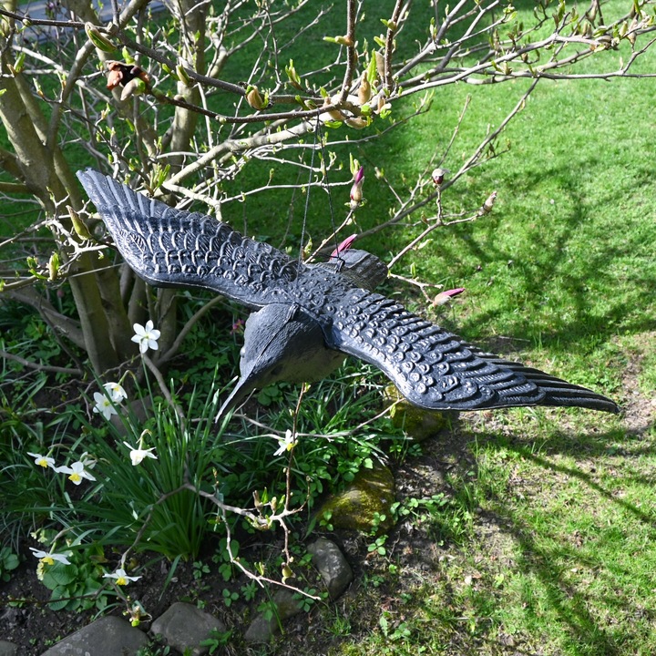Kruk w locie Sillar makieta ptaka kruka odstraszacz ptaków gołębi szpaki 3x