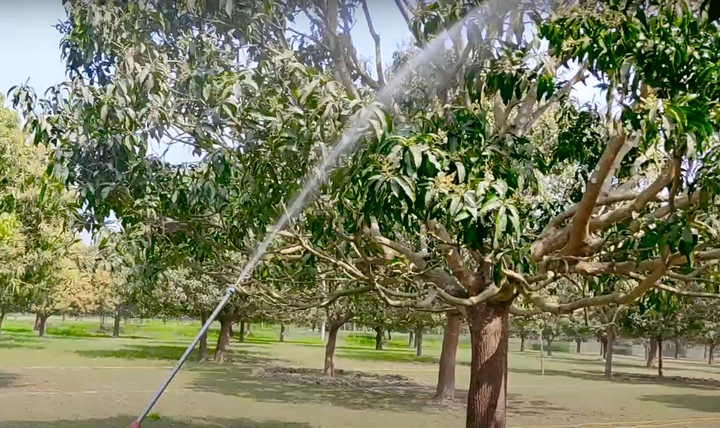 OPRYSKIWACZ Duży Zasięg akumulatorowy elektryczny myjka ciśnieniowa MP0356