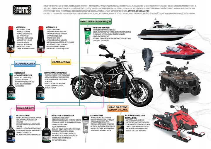 FORTE DIESEL INJECTOR TREATMENT