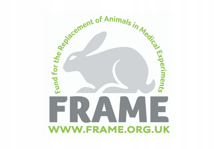 Avon Nutra Effects True Matujący krem BB 5w1 Light