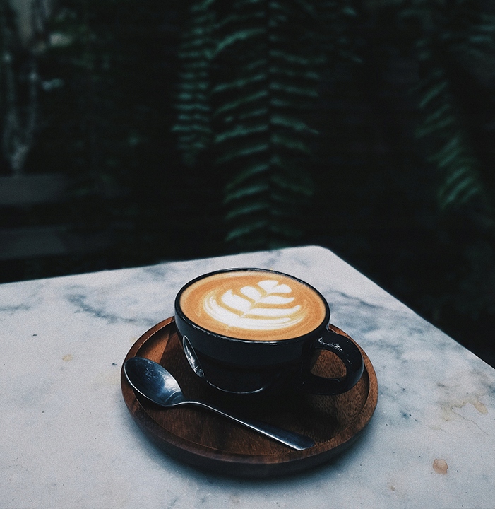 Odkamieniacz w płynie do ekspresu Nivona 500ml