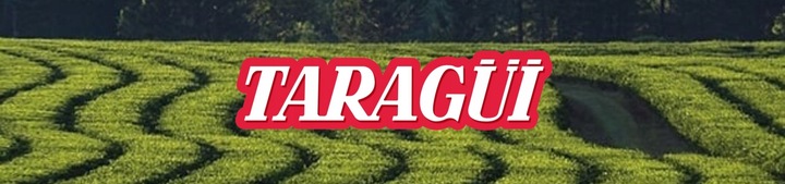 Yerba Mate TARAGUI sin palo despalada 1kg GIGA pobudzenie