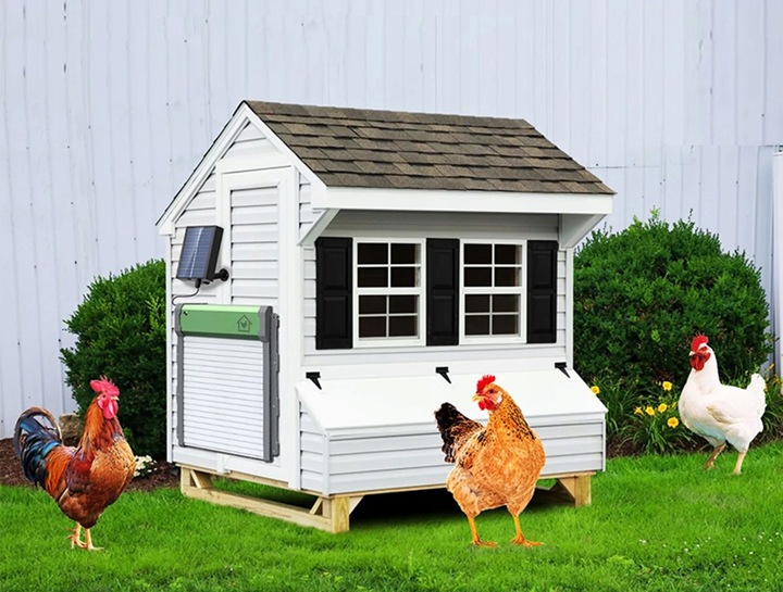 AUTOMATYCZNE DRZWI KURNIKA SOLARNE PILOT DRZWICZKI CZUJNIK ŚWIATŁA TIMER