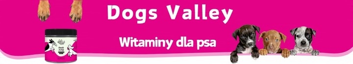 Suplementy dla psa - Kości Stawy Aktywność dla Senior MSM - Witaminy 90szt