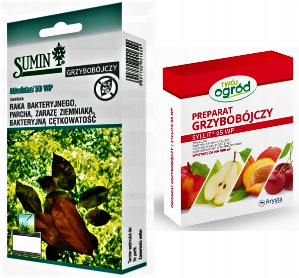 MIEDZIAN 100G+SYLLIT 45G ZWALCZA CHOROBY GRZYBOWE