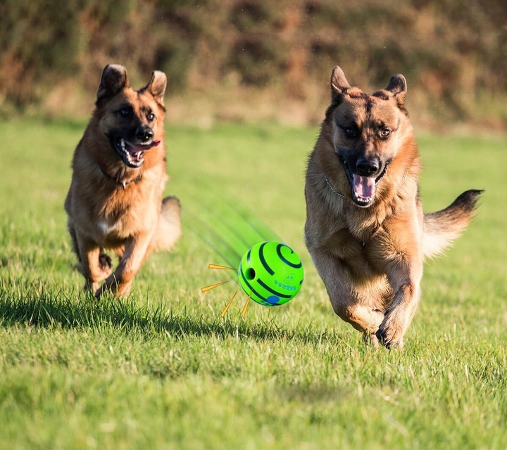 Interaktywna Zabawka dla Psa Piłka z Dźwiękiem Wytrzymała Dużych Ras Psów