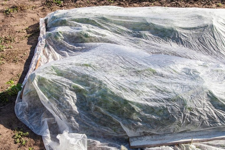 Otulina Wiosenna 3,2x20m Okryciowa 19g/m2 Lekka Rośliny Włóknina Ziemniaki