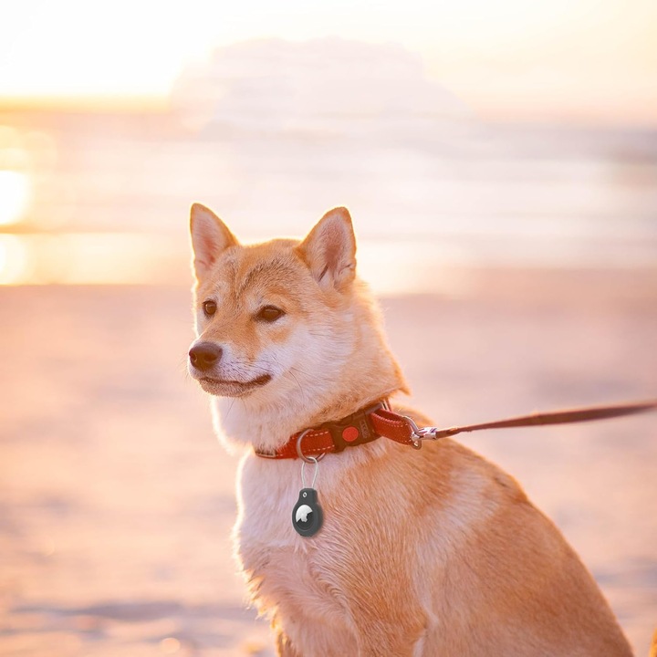 OCHRONNE ETUI CASE BRELOK DO KLUCZY NA APPLE AIRTAG