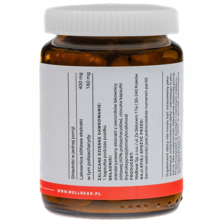 Grzyb Reishi Lakownica żółtawa 400 mg Odporność Krążenie Relaks Adaptogen