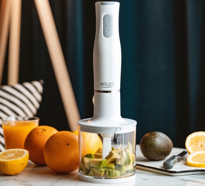 Blender ADLER AD 4620