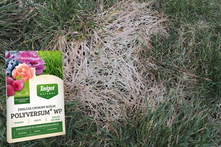 TARGET POLYVERSUM naturalna walka z grzybami P. oliganrum grzybobójczy 10g