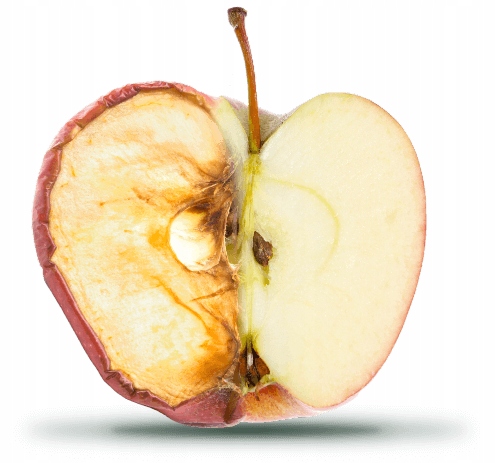 BLENDER KIELICHOWY PRÓŻNIOWY KUVINGS KV200 SREBRNY