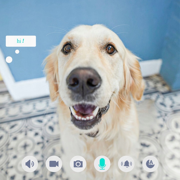 Kamera Monitorująca Zewnętrzna WiFi IP 3MP 2K